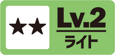 カテゴリ2：ライト